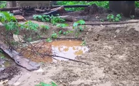 ନିର୍ମାଣ ଧୀନ କୂଅରେ ପଡ଼ି  ଦୁଇ ବର୍ଷର ଶିଶୁପୁତ୍ର ମୃତ୍ୟୁ।