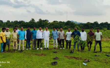 ପାଷ୍ଟିକୁଡି ଠାରେ ଅଲ୍ ଓଡିଶା ସିଡୁଲ୍ଡ କାଷ୍ଟ ଫେଡେରେସନ ତରଫରୁ ବୃକ୍ଷ ରୋପଣ,