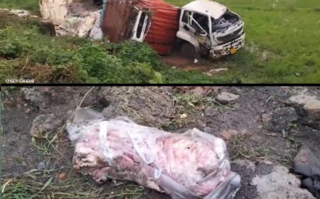 ଗୋରୁ ମାଂସ ବୋଝେଇ ଟ୍ରକ ଦୁର୍ଘଟଣାଗ୍ରସ୍ତ: ଡ୍ରାଇଭର ଗୁରୁତର,