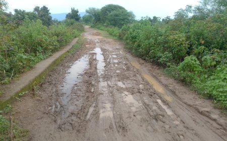 ମରଣଯନ୍ତା ପାଲଟିଛି ଗଣ୍ଡାମେର ଠାରୁ ଧନାମୁଣ୍ଡିଆ ପଡା ରାସ୍ତା