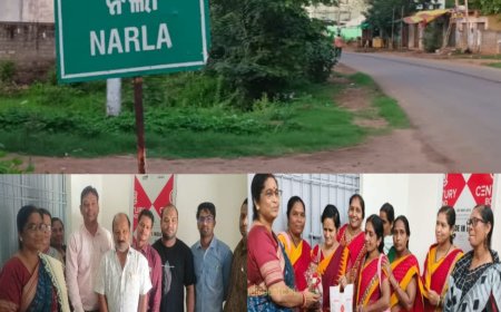 ନର୍ଲା ବ୍ଲକ୍ ରେ ନୂତନ ସି ଡି ପି ଓ ଙ୍କ ଯୋଗଦାନ,