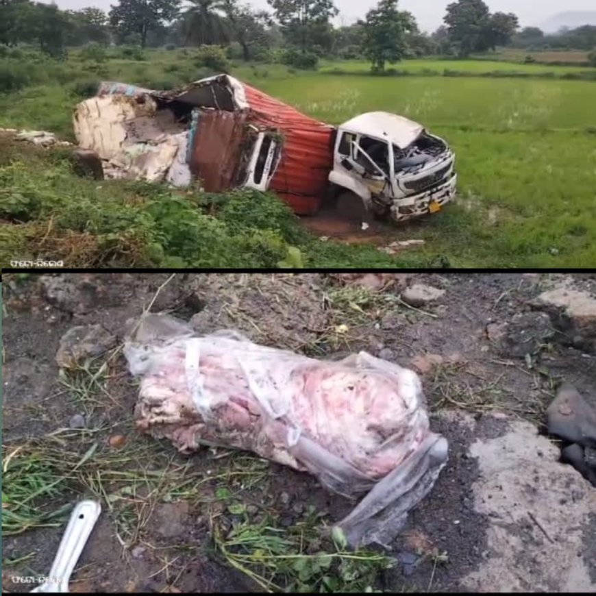 ଗୋରୁ ମାଂସ ବୋଝେଇ ଟ୍ରକ ଦୁର୍ଘଟଣାଗ୍ରସ୍ତ: ଡ୍ରାଇଭର ଗୁରୁତର,