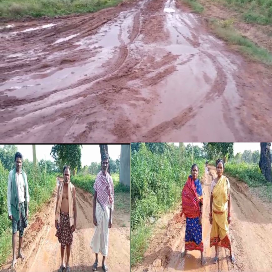 କଣ୍ଟାମାଲ ଠୁ ବୋରିଗୁମା ରସ୍ତା ସୁଧୁରିବ କେବେ? କୁମ୍ବ କର୍ଣ୍ଣ ନିଦ୍ରାରେ ଗୋଲାମୁଣ୍ଡା ବ୍ଲକ ପ୍ରଶାସନ,ଅଭିଯୋଗ ଆଣିଲେ ଗ୍ରାମବାସୀ,