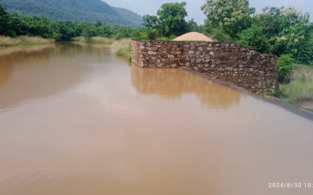 ମରାମତି ନାଁ ରେ ଭାଙ୍ଗି ଦେଲେ ସୁଇସ ଗେଟ l