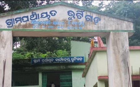 ଲାଞ୍ଜିଗଡ଼ ବ୍ଲକର ଅଡାଖୁ ଗାଁରେ  ମଇସି ମାଂସ ଖାଇ ବା ଯୋଗୁଁ ଡ଼ାଇରିଆ ଆତଙ୍କ,  ପ୍ରକାଶ କରିଛନ୍ତି  ଅଂଚଳ ବାସୀ ଓ ଡାକ୍ତରୀ ଦଳ,