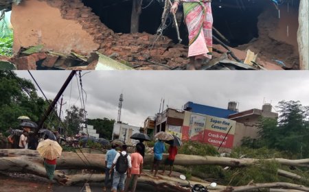 ବିଶ୍ଵନାଥ ପୁର ଠାରେ ରାସ୍ତା ଉପରେ ଗଛ ପଡ଼ି ରାସ୍ତା ଅବରୋଧ,ମଟର ସାଇକେଲ ଗ୍ୟାରେଜ ଓ ହୋଟେଲ ସହିତ ଭାଙ୍ଗିଲା ଘର।