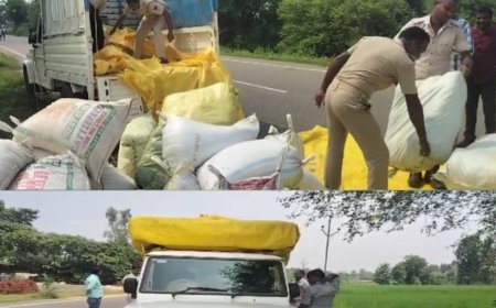 ପୋଲିସ୍ ର ଭୟରେ ଗଞ୍ଜେଇ ବୋଝେଇ ଗାଡ଼ି ଛାଡି ଫେରାର ମାରିଲେ ଗଞ୍ଜେଇ ବେପାରୀ,