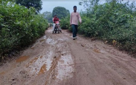 କୁମ୍ଭାରୀଗାଁ ପଞ୍ଚାୟତ ରାସ୍ତା ପାଲଟିଛି ମରଣଯନ୍ତା,