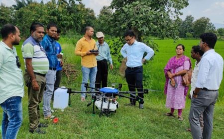 ଡ୍ରୋନ ଦ୍ୱାରା ଧାନ ଚାଷରେ ସାର ଛିଞ୍ଚନ