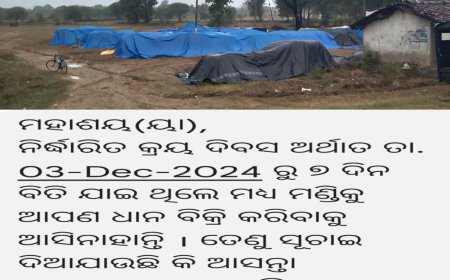 ଲଘୁଚାପ ବର୍ଷାରେ ଭିଜୁଛି ମଣ୍ଡିକୁ ଆସିଥିବା ପାଚିଲା ଧାନ: ଚିନ୍ତାରେ ଚାଷୀ କୂଳ,