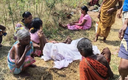 ତାଳ ବୋରା ଗାଁରେ ପାଳ କୁଡ଼ିଆରେ ନିଆଁ ଲାଗି ୨ ଶିଶୁ ଜୀବନ୍ତ ଦଗ୍ଧ l