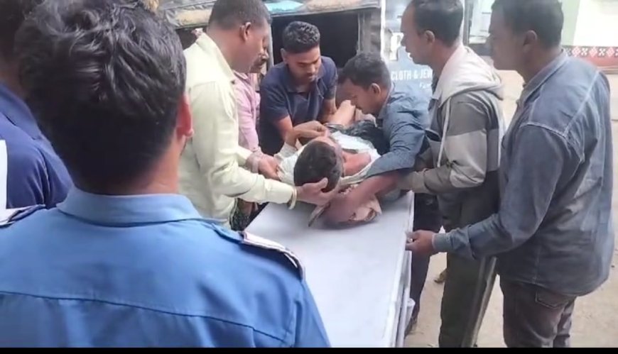 ହାତୀ ଆକ୍ରମଣରେ ବୃଦ୍ଧା ଗୁରୁତର,