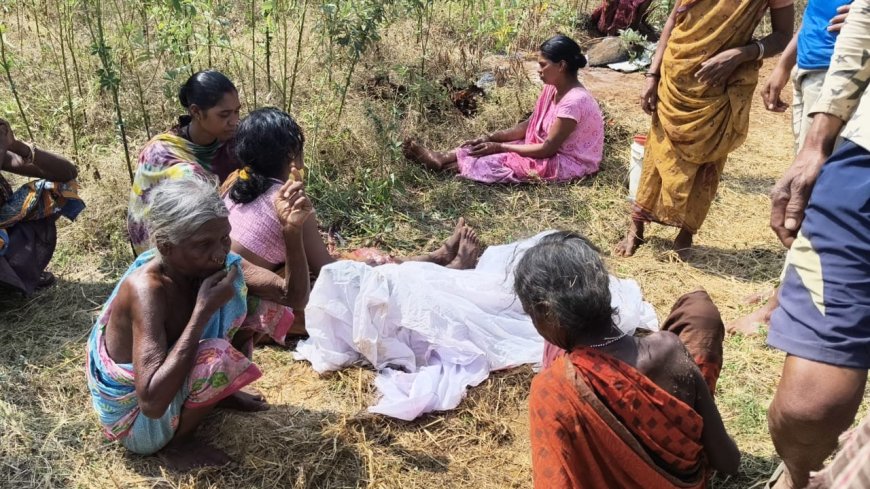 ତାଳ ବୋରା ଗାଁରେ ପାଳ କୁଡ଼ିଆରେ ନିଆଁ ଲାଗି ୨ ଶିଶୁ ଜୀବନ୍ତ ଦଗ୍ଧ l