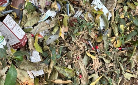 ପରିତ୍ୟକ୍ତ ସ୍ଥାନରେ ପଡିଛି ରକ୍ତ ନମୁନା, ତଦନ୍ତ ଦାବି,