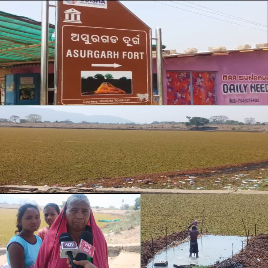 ଅଶୁରଗଡ ସାଗର କୁ ପୁନରୁଦ୍ଧାର ପାଇଁ ଦାବୀ