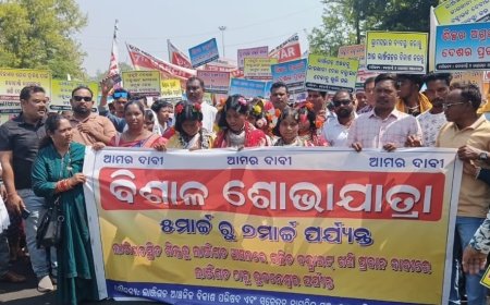 ଚର୍ଚ୍ଚାର ଶୀର୍ଷରେ ଆଞ୍ଚଳିକ ବିକାଶ ପରିଷଦ,