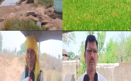 ଶୁଖିଲା ପଡିଛି ସାନ୍ଦୁଲ୍ ନଦୀ, ଚିନ୍ତା ରେ ନଈ କୂଳିଆ ଅଞ୍ଚଳ ବାସୀ,