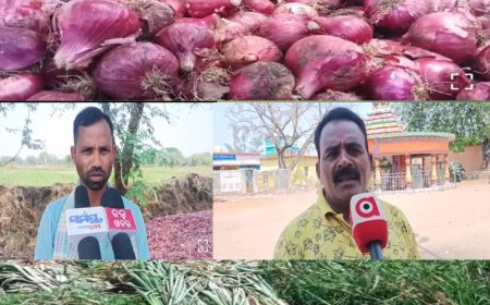 ଅଭାବୀ ବିକ୍ରି ର ଶିକାର୍ କଳାହାଣ୍ଡି ଜିଲ୍ଲାର ପିଆଜ ଚାଷୀ,