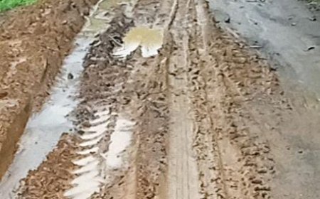 ଜୋରାଡବରା ପଂଚାୟତ କୁସୁର୍ଲା ହରଗୋରି ମନ୍ଦିର ଛକ ଠାରୁ ସିଲେଟପଡା ରାସ୍ତା ମରଣଜନ୍ତା,