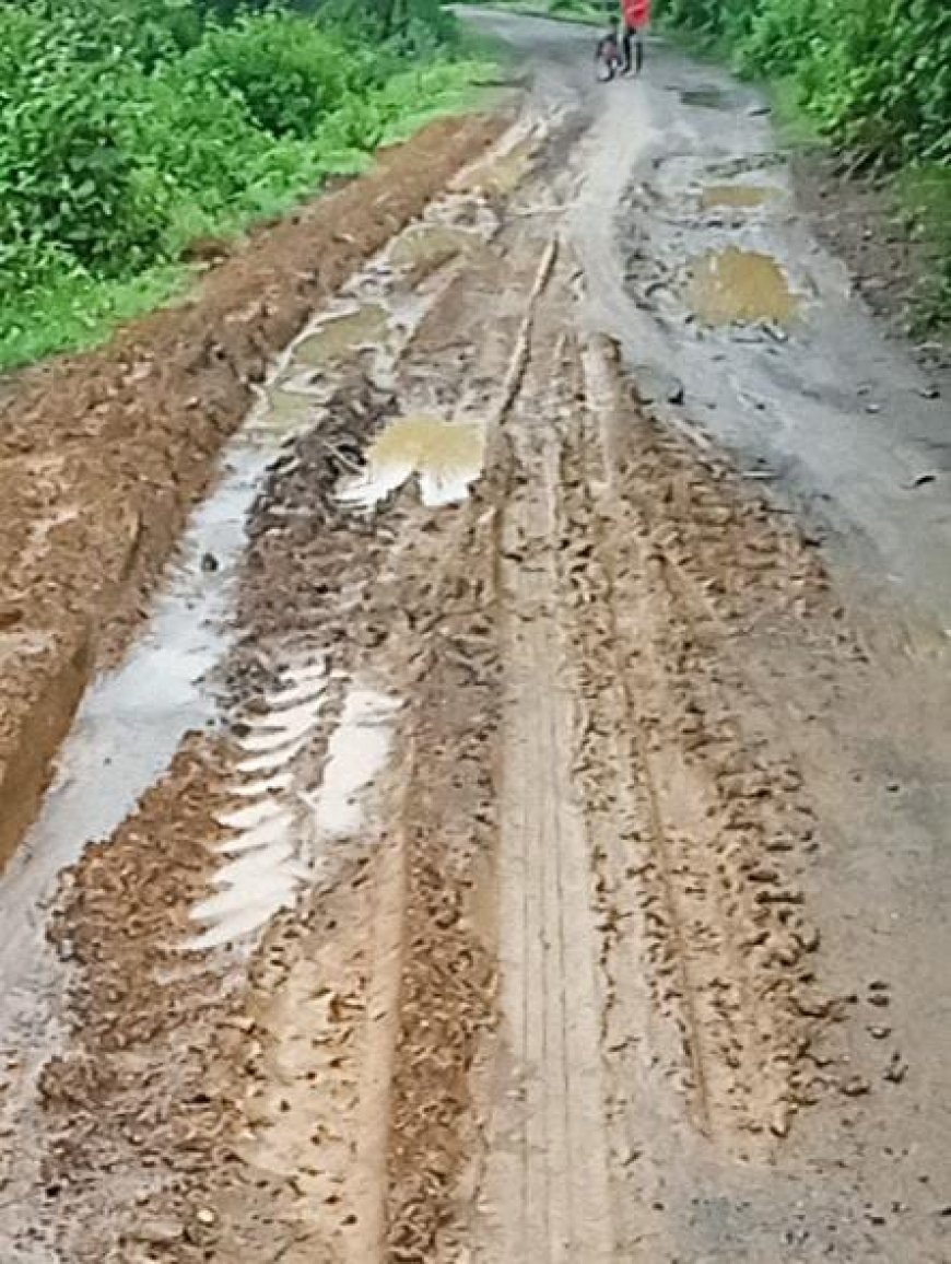 ଜୋରାଡବରା ପଂଚାୟତ କୁସୁର୍ଲା ହରଗୋରି ମନ୍ଦିର ଛକ ଠାରୁ ସିଲେଟପଡା ରାସ୍ତା ମରଣଜନ୍ତା,