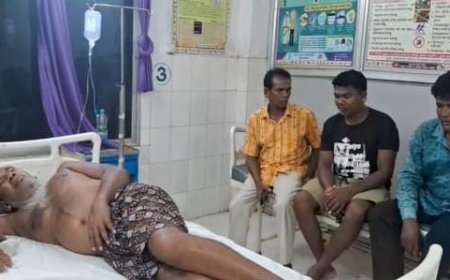 ମହୁମାଛି ଆକ୍ରମଣ ରେ ଜଣେ ଗୁରୁତର ଓ ଦୁଇ ଆହତ l