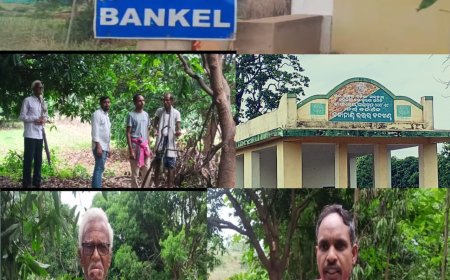 ବାଙ୍କେଲ୍ ଗାଁ ରେ ହାତୀ ଉପଦ୍ରବ , ଚିନ୍ତା ରେ ଗ୍ରାମ ବାସୀ,