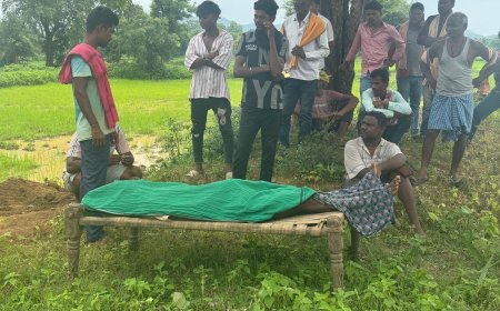 ଜମିବାଡ଼ି ବିବାଦକୁ ନେଇ ସାନ ଭାଇ ବଡ଼ଭାଇ ଙ୍କ ମୃତ୍ୟୁ,