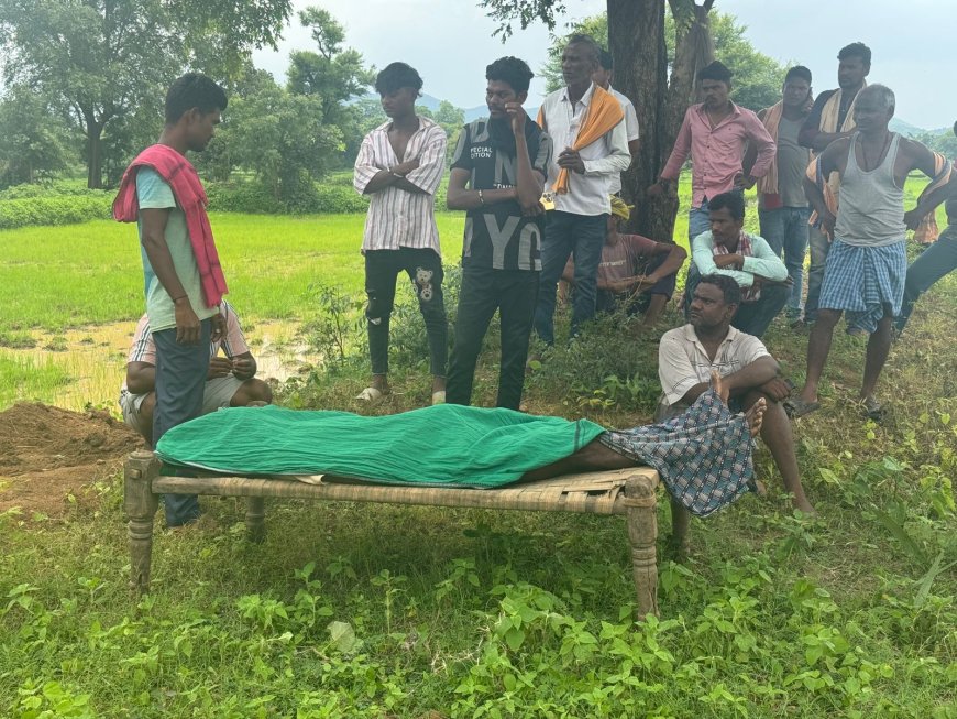 ଜମିବାଡ଼ି ବିବାଦକୁ ନେଇ ସାନ ଭାଇ ବଡ଼ଭାଇ ଙ୍କ ମୃତ୍ୟୁ,