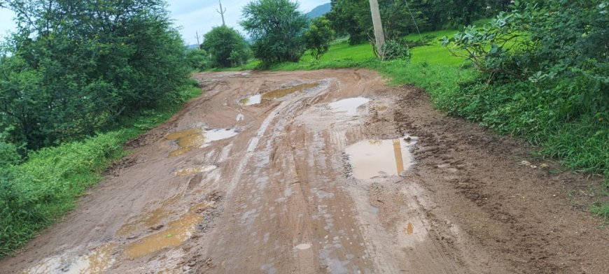 ମରଣ ଯନ୍ତା ପାଲଟିଛି ବଡ଼ ଚେରଗାଁ ଠୁ ନଦୀ ବ୍ରିଜ ରାସ୍ତା,