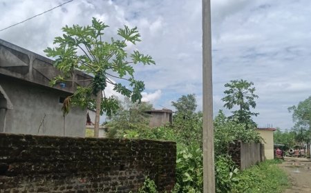 ଖବର ପ୍ରସାରଣ ପରେ  ବିଜୁଳି ବିଭାଗର ନିଦ ଭାଙ୍ଗିଲା,