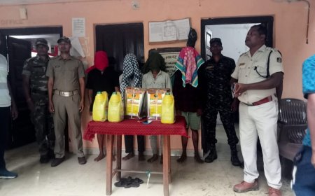 ଚୋରି ଅଭିଯୋଗରେ ୪ଗିରଫ ହୋଇ କୋର୍ଟ ଚାଲାଣ