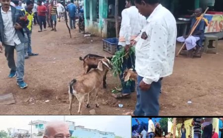 କଳାହାଣ୍ଡି ଜିଲ୍ଲା ର ବିଭିନ୍ନ ଶକ୍ତି ପୀଠ ରେ ଚାଲିଛି ବଳି ପ୍ରଥା,ବଳି ପ୍ରଥା କୁ ନେଇ ନିଜ ନିଜ ମତ ରଖିଥିଲେ ନର୍ଲା ଅଞ୍ଚଳ ବାସୀ