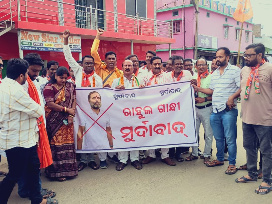 ନର୍ଲା ବିଜେପି ପକ୍ଷରୁ ରାହୁଲ୍ ଗାନ୍ଧୀ ଙ୍କ କୁଶପୁତ୍ତଳିକା ଦାହ