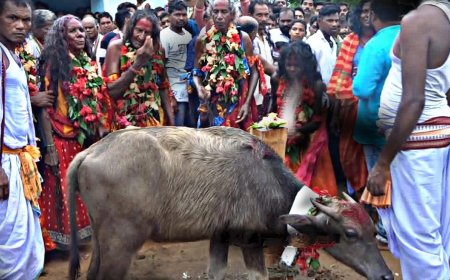 ରକ୍ତ ରଞ୍ଜିତ ହେଲା ମାଁ ’ ବୁଢି ବସ୍ତ୍ରେଣୀଙ୍କ ଶ୍ରେଷ୍ଠ ଶକ୍ତି ପୀଠ,