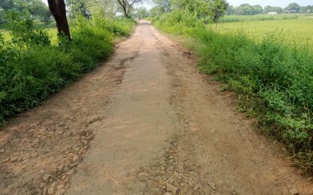 ଏକ ବର୍ଷ ପୂର୍ବରୁ ଖବର ପ୍ରସାରଣ ପରେ ମଧ୍ୟ ପ୍ରଶାସନ ଦୃଷ୍ଟି ଦେଉ ନାହିଁ।