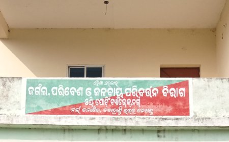 ହାତୀ ଆକ୍ରମଣରେ ବାଗପୁର ଗ୍ରାମର ଜଣେ ବୃଦ୍ଧ ଚାଷୀଙ୍କ ମୃତ୍ୟୁ,