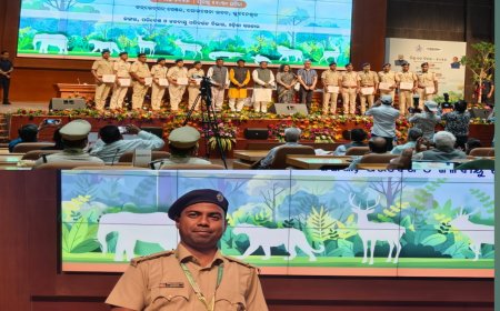 ନର୍ଲା ବନପାଳ ଭବାନୀ ଶଙ୍କର ନାଏକ ପାଇଲେ ମୁଖ୍ୟ ମନ୍ତ୍ରୀ ପୁରସ୍କାର,