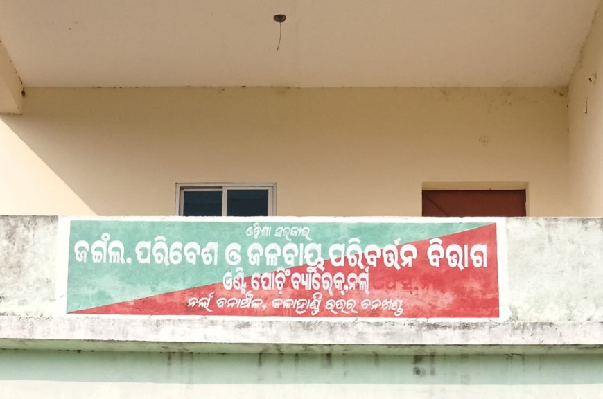 ହାତୀ ଆକ୍ରମଣରେ ବାଗପୁର ଗ୍ରାମର ଜଣେ ବୃଦ୍ଧ ଚାଷୀଙ୍କ ମୃତ୍ୟୁ,