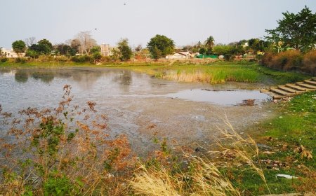 ନର୍ଲା ରାଣୀ  ବନ୍ଧ ମରାମତି  ଅବହେଳା, ନର୍ଲା ପ୍ରଶାସନ ଚୁପ,