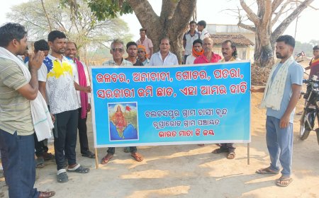 ସରକାରୀ ଜମି ଜବର ଦଖଲ ରେ ବଡ ବଡ଼ିଆ ବାବୁ,