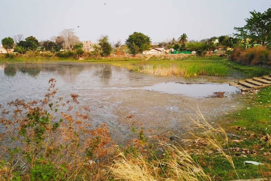 ନର୍ଲା ରାଣୀ  ବନ୍ଧ ମରାମତି  ଅବହେଳା, ନର୍ଲା ପ୍ରଶାସନ ଚୁପ,