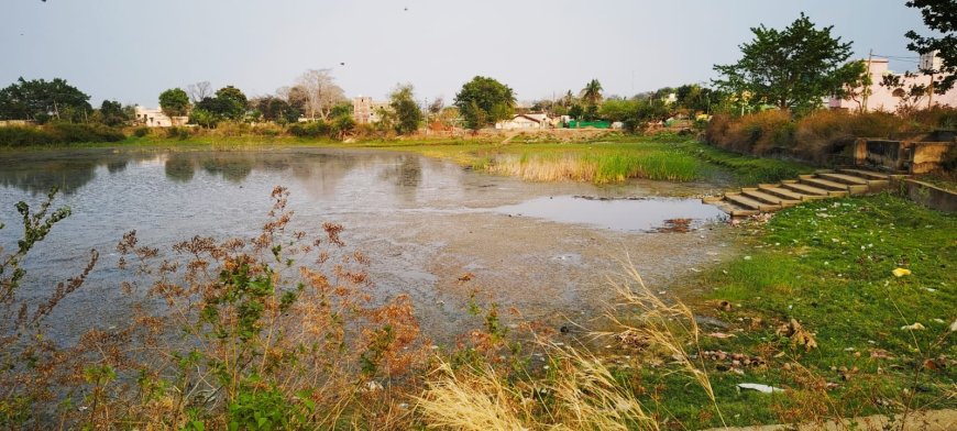 ନର୍ଲା ରାଣୀ  ବନ୍ଧ ମରାମତି  ଅବହେଳା, ନର୍ଲା ପ୍ରଶାସନ ଚୁପ