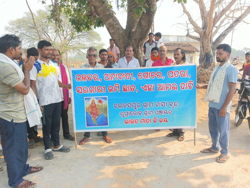 ସରକାରୀ ଜମି ଜବର ଦଖଲ ରେ ବଡ ବଡ଼ିଆ ବାବୁ,