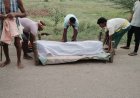 ସାପ କାମୁଡ଼ାରେ  ଯୁବକର ମୃତ