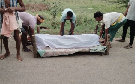ସାପ କାମୁଡ଼ାରେ  ଯୁବକର ମୃତ