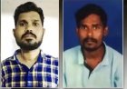 ସାପ କାମୁଡାରେ କକା ପୁତୁରାଙ୍କ ମୃତ୍ୟୁ,