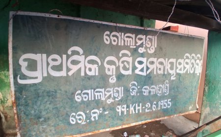 ଧାନ ପଞ୍ଜିକରଣରେ ସର୍ଭର ସମସ୍ୟା: ଲମ୍ବା ଧାଡ଼ିରେ ଚାଷୀ, ସିଏସ୍‌ସିରେ ପଞ୍ଜିକରଣ ସୁବିଧା ଦାବି