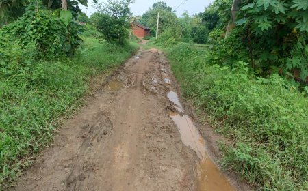 ଅନ୍ତର୍ଲା–ସାହାଜବାହାଲି ରାସ୍ତା ଶୋଚନୀୟ, ମରାମତି ଦାବି,